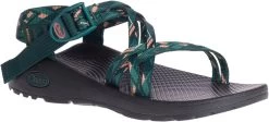 Chaco Women's Z/Cloud X -Cheap Shoe Store chaco womens z cloud x warren pine jch107986 41418.1647288280