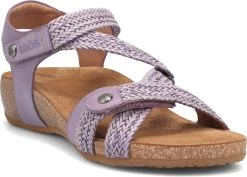 Taos Trulie 19 Taos Trulie -Cheap Shoe Store taos womens trulie lavender tru 16406 lav 38548.1682088054